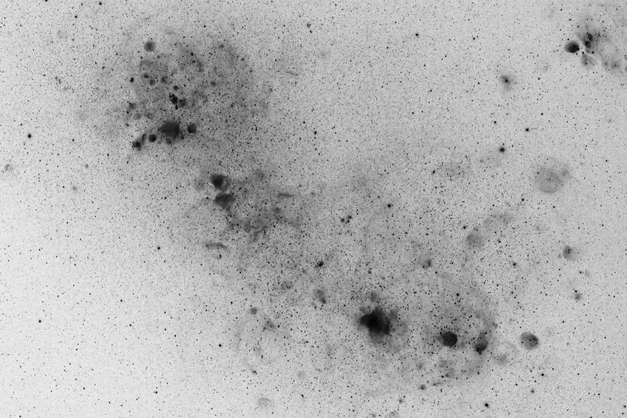 Kleine  Magellansche Wolke