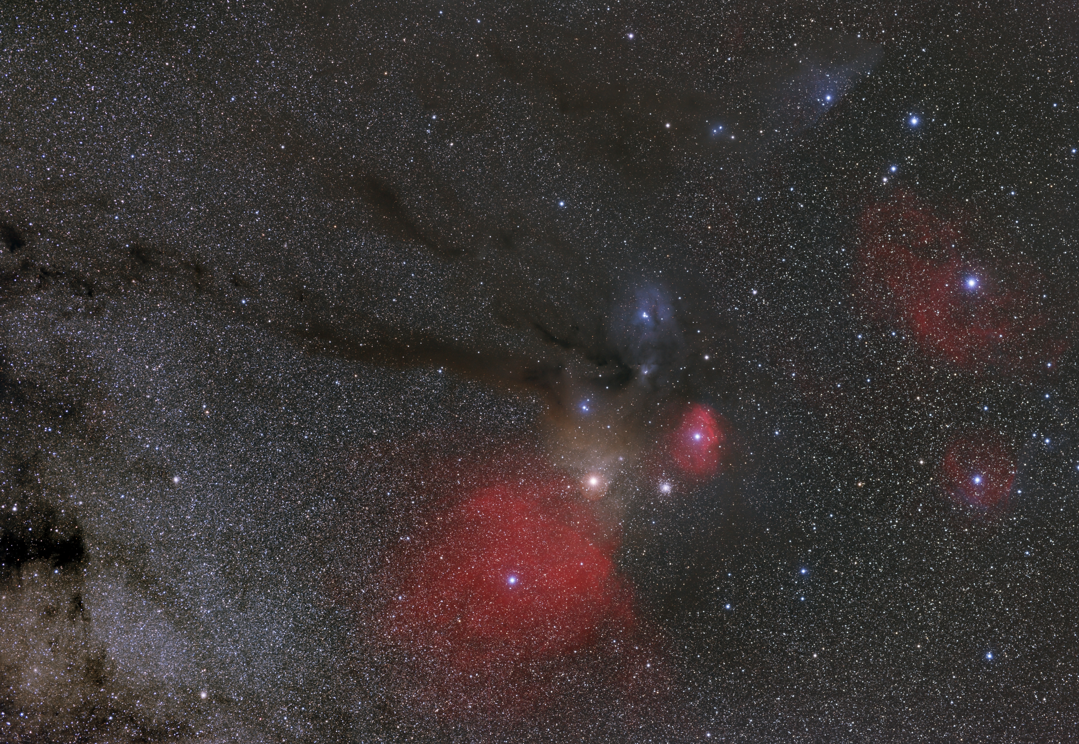 Kopf des Skorpion aus Namibia - Astrofarm Namibia