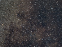 Coathanger Ausschnitt