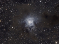 NGC7023 Nebel