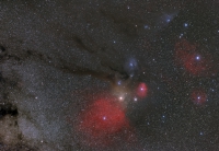 Kopf des Skorpion von Kiripotib Namibia